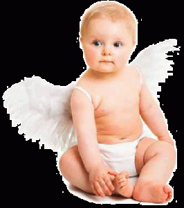 El Alquiler Seguro es Custodio